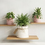 Estudio Floga, Macetas en Forma de Costal 3 piezas Estudio Floga, Macetas en Forma de Costal 3 piezas