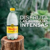 Topochico Agua Mineral 12 pzas de 600 ml