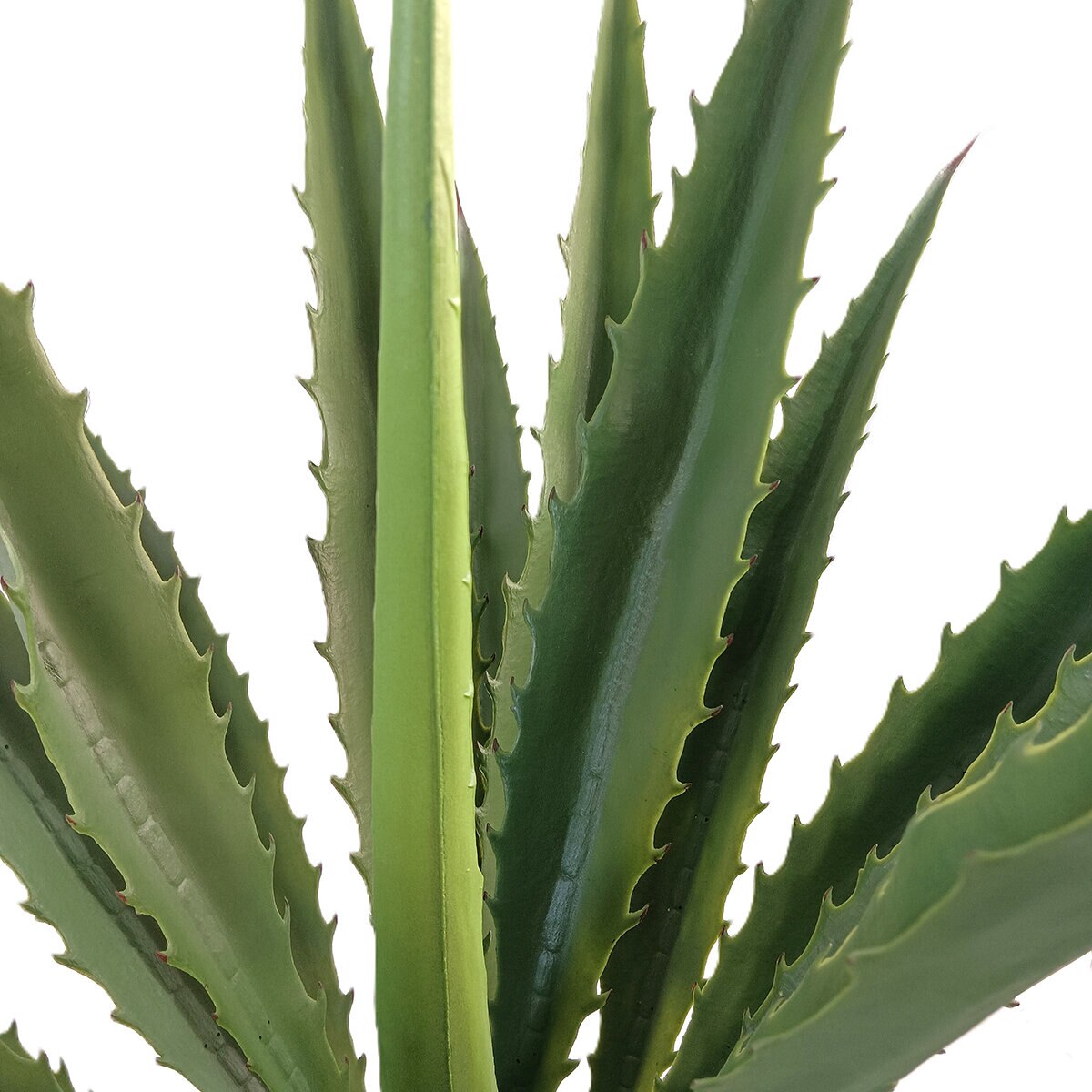 CG Hunter, Agave Artificial