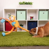 Go Dog Juguete para Perro 1 pza