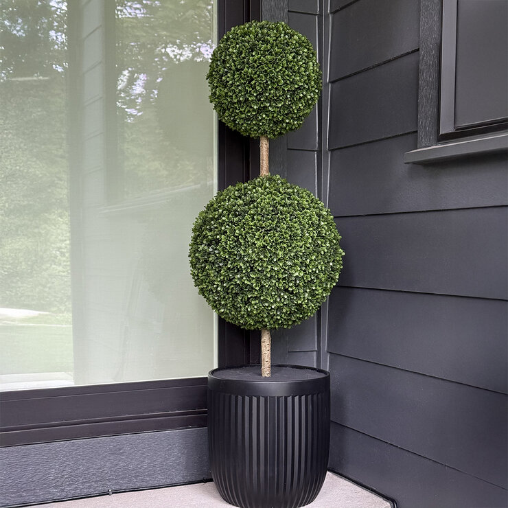 CG Hunter, Árbol Topiario de Boj de Aspecto Natural