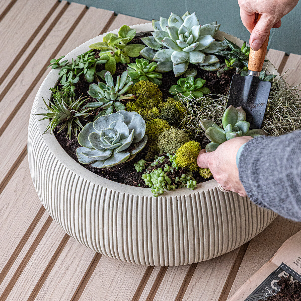 Over & Back, Pillarbloom Maceta de Fibra de Arcilla Blanca