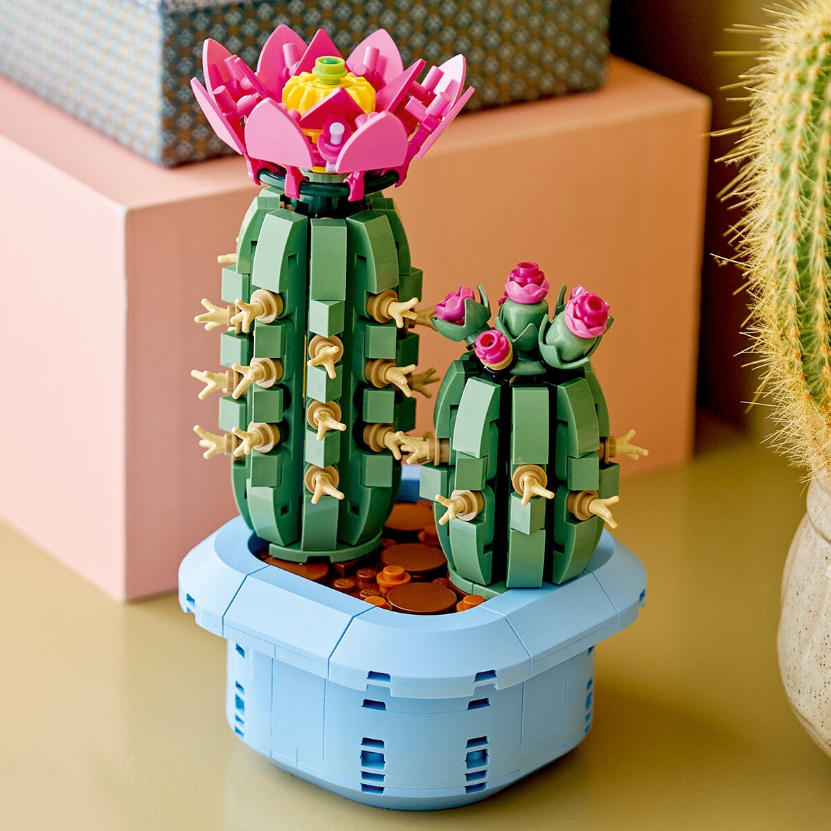 LEGO Botanicals, Cactus en Flor