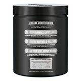Creatina Monohidratada Birdman 600 gr