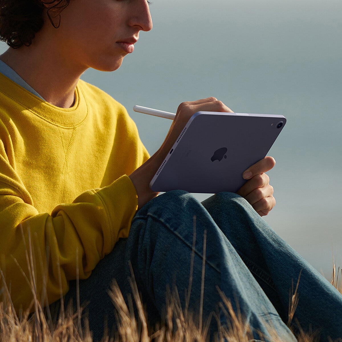 Apple iPad Mini 8.3" Wi-Fi 256GB Gris Espacial