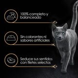 Sheba Alimento Húmedo para Gato Multisabor 24 pzas de 85 gr