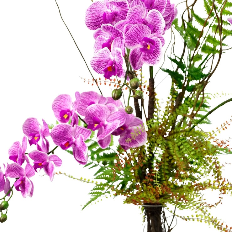 Zazh, Arreglo Floral de Orquideas, Orquidea magenta Zazh, Arreglo Floral de Orquideas, Orquidea magenta