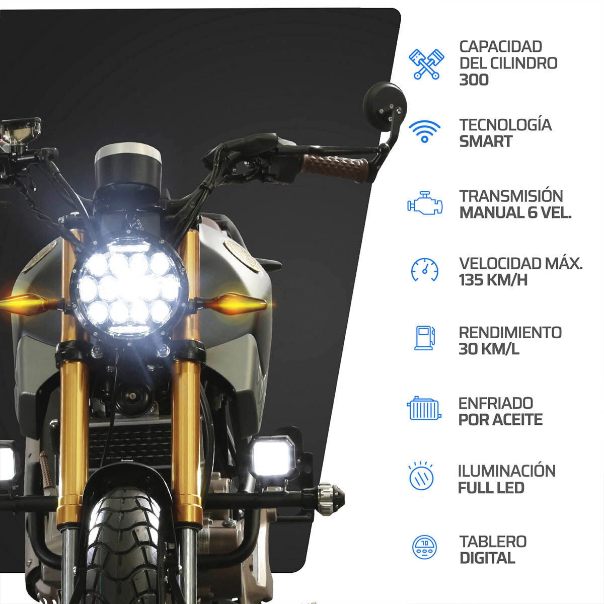 Vento Motocicleta Screamer 300cc Gris Vento Motocicleta Screamer 300cc Gris