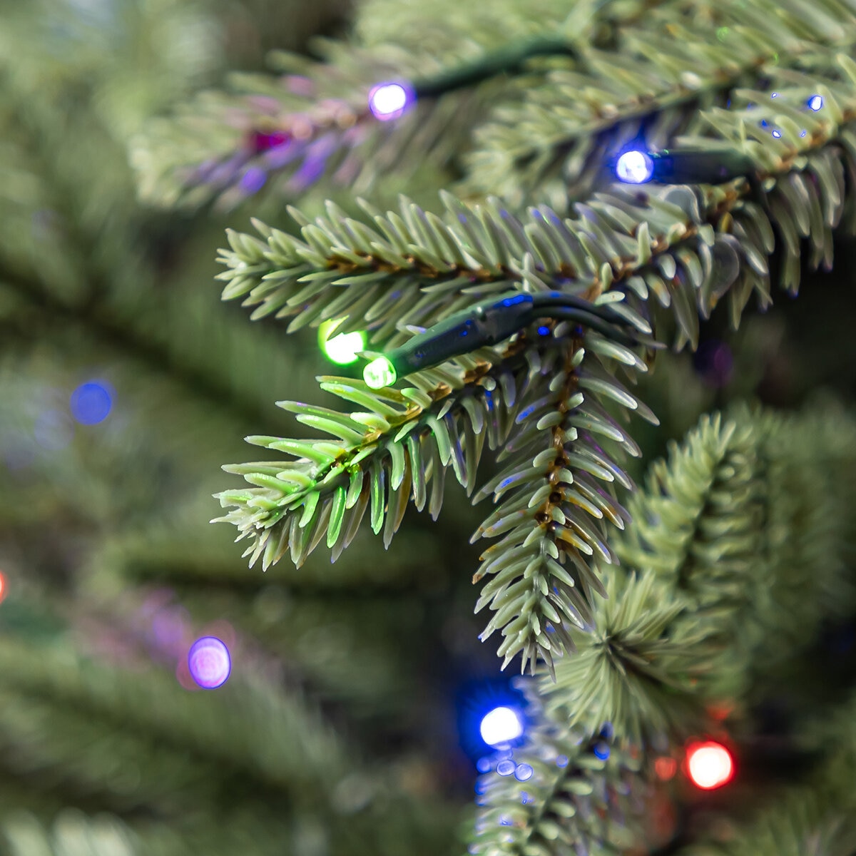 Árbol de Navidad Pre-Iluminado 2.7m con 2,700 Luces Radiant Micro LED