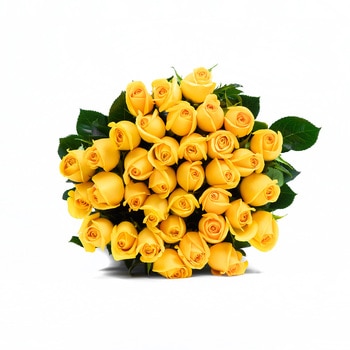 Chiltepec, Bouquet de 36 Rosas Amarillas