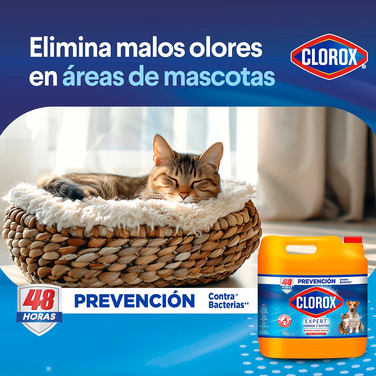 Clorox Expert Perros y Gatos Desinfectante 10 kg
