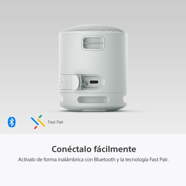 Sony SRS-XB100 Bocina Inalámbrica Portátil Gris
