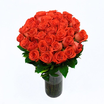 Chiltepec, Bouquet de 36 Rosas Naranjas