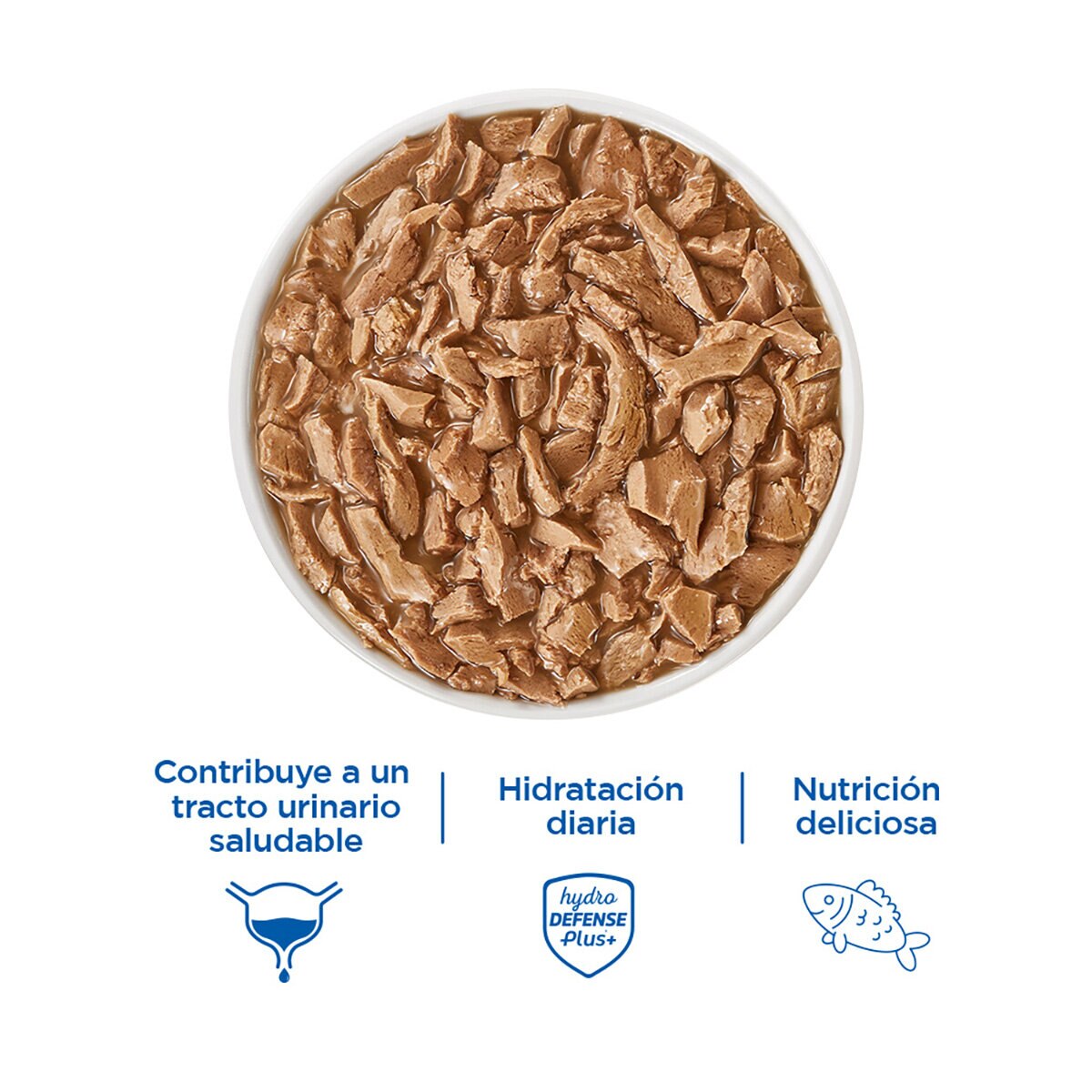 Cat Chow Alimento Húmedo para Gatos Sabor Pescado 24 pzas 85 g Cat Chow Alimento Húmedo para Gatos Sabor Pescado 24 pzas 85 g