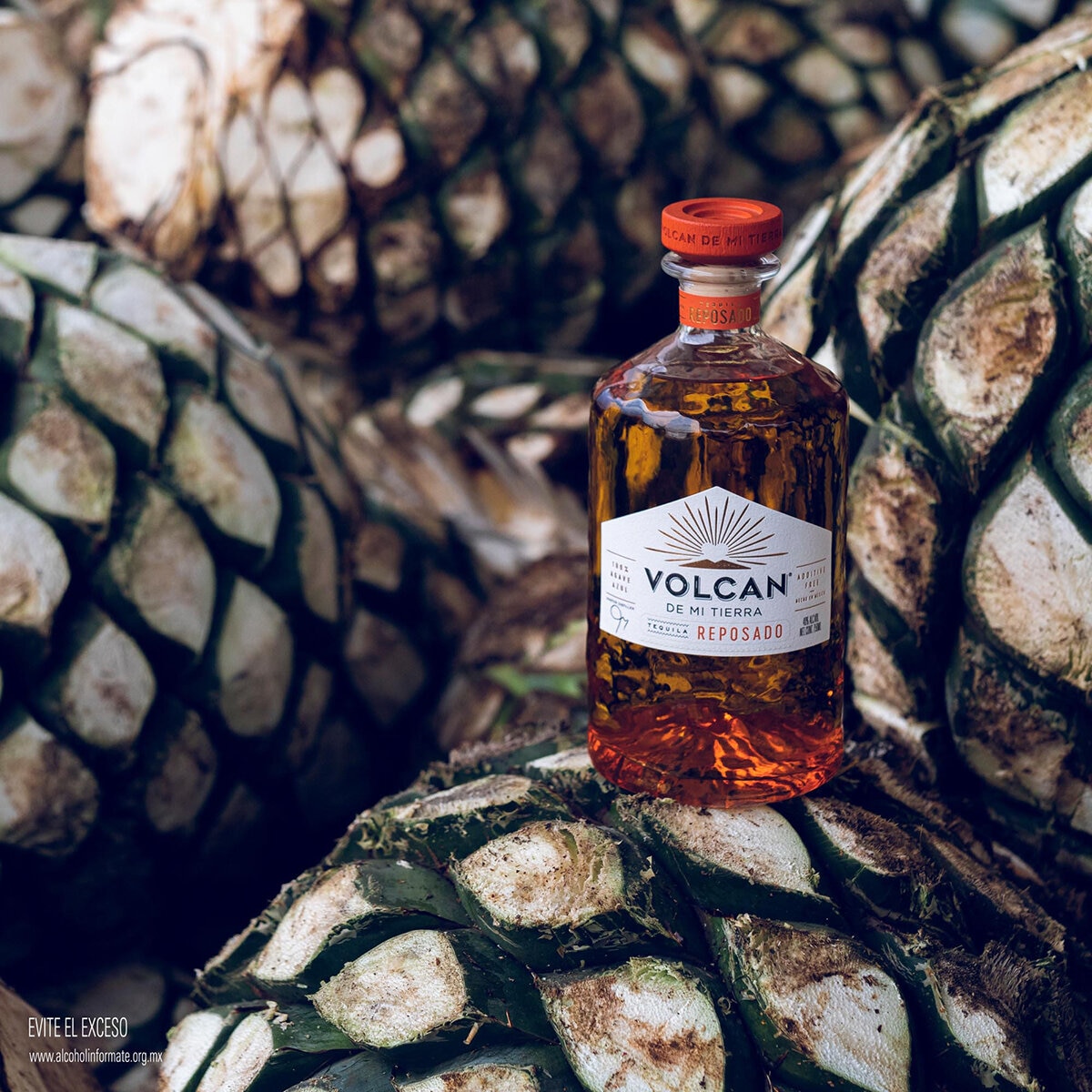 Tequila Volcán de Mi Tierra Reposado 750ml