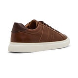Steve Madden Tenis para Caballero Café US 12 / MEX 30