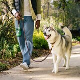 Earth Rated Bolsas para Desechos de Mascotas 20 rollos