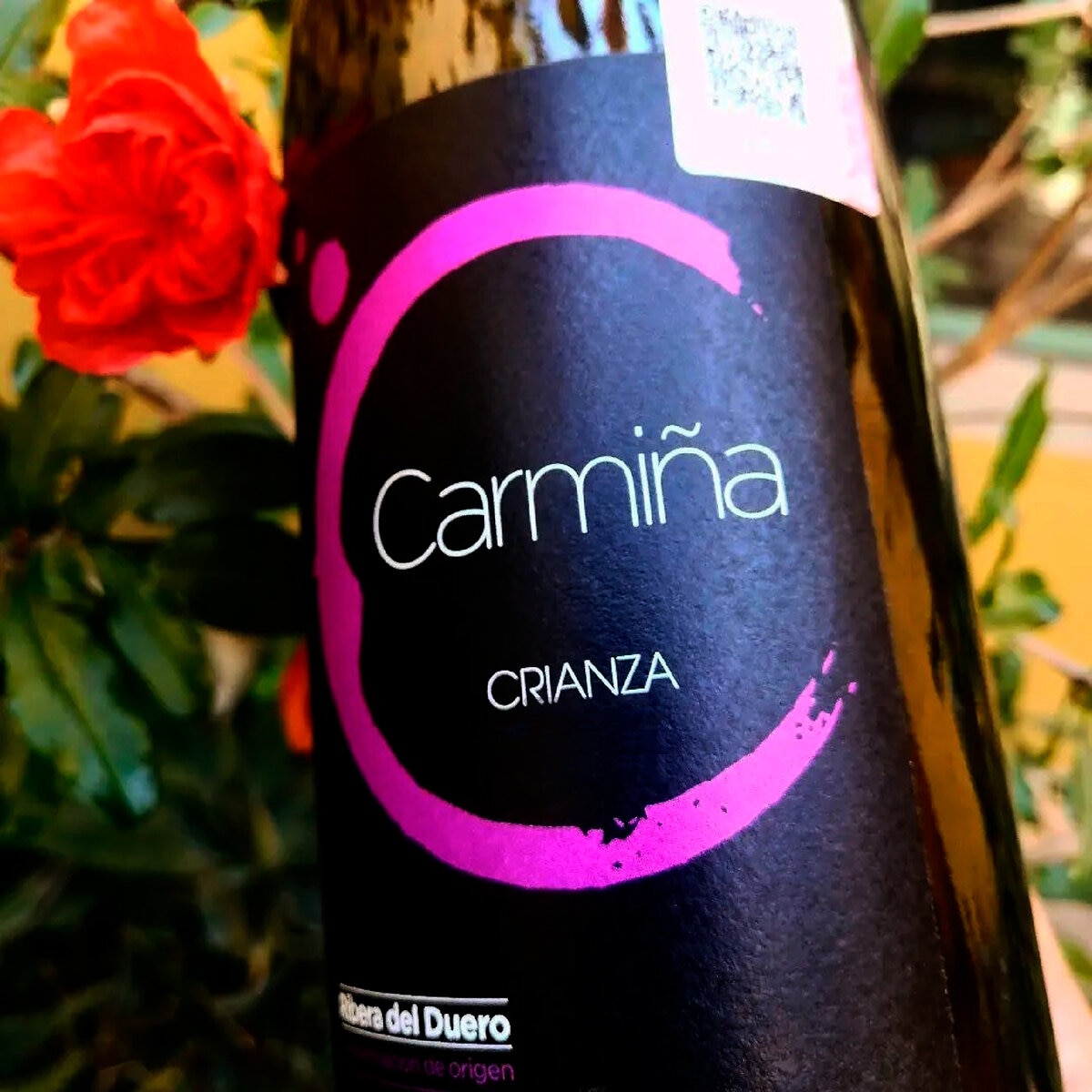 Vino Tinto Carmiña 750ml