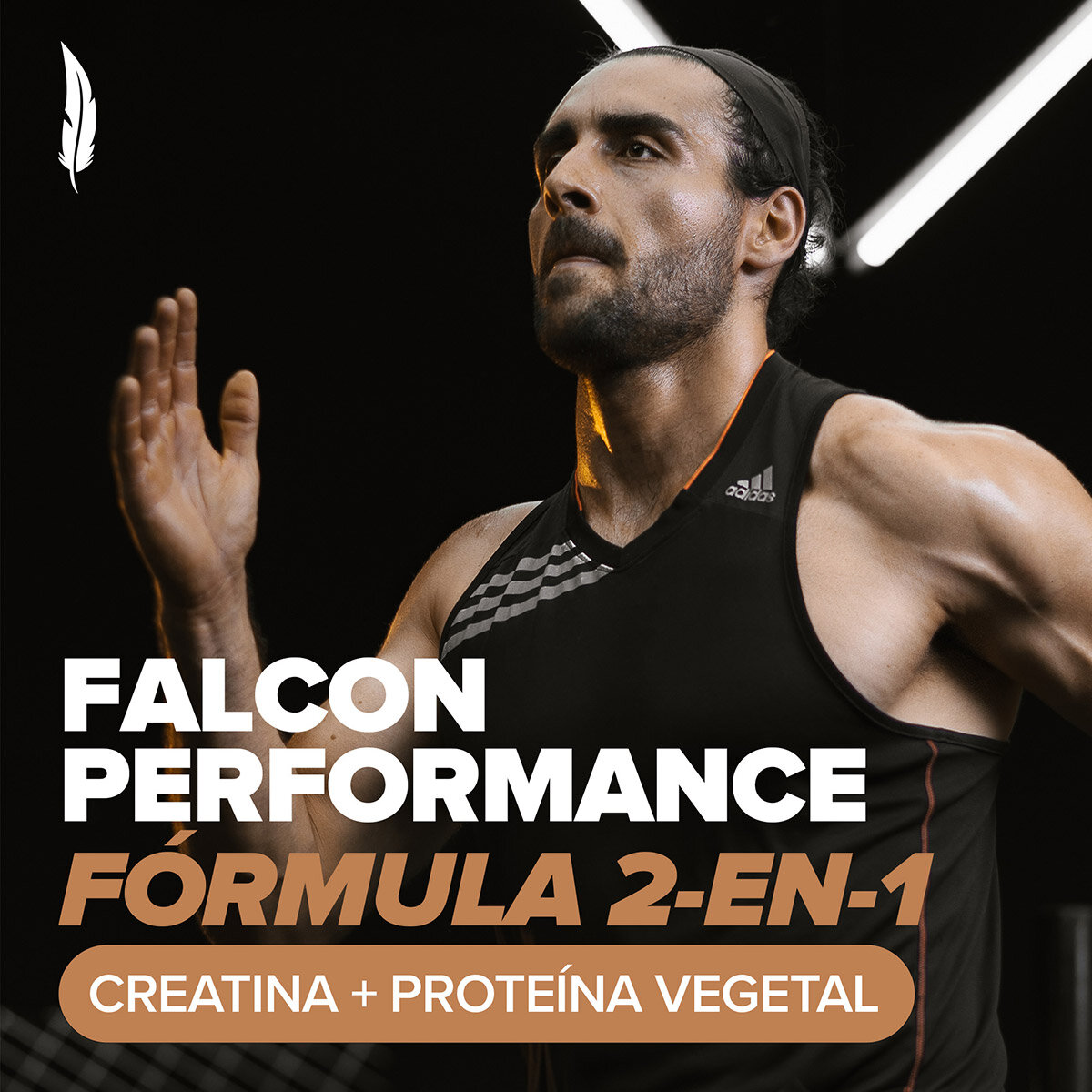 Birdman Falcon Performance Proteína Vegetal Sabor Chocolate 2.1 kg
