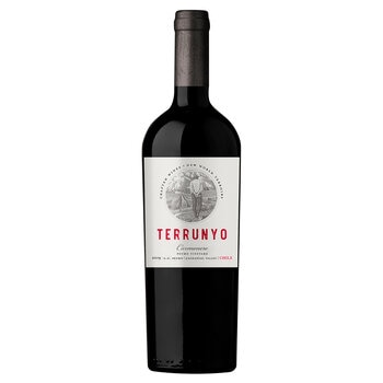 Vino Tinto Terrunyo Carmenere 750ml