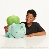 pokemon sleeping plush assortments, POKEMON 18" SLEEPING, Charmander