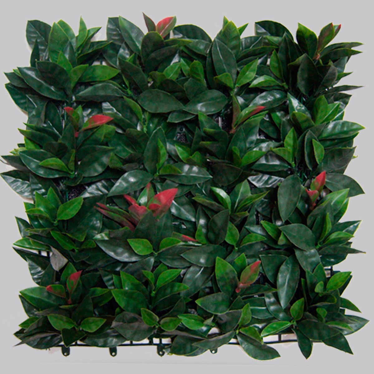Green Smart, Panel de Follaje Sintético, Modelo Laurel