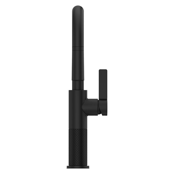 Pfister, Grifo Monomando de Cocina Desplegable Montay, Negro Mate